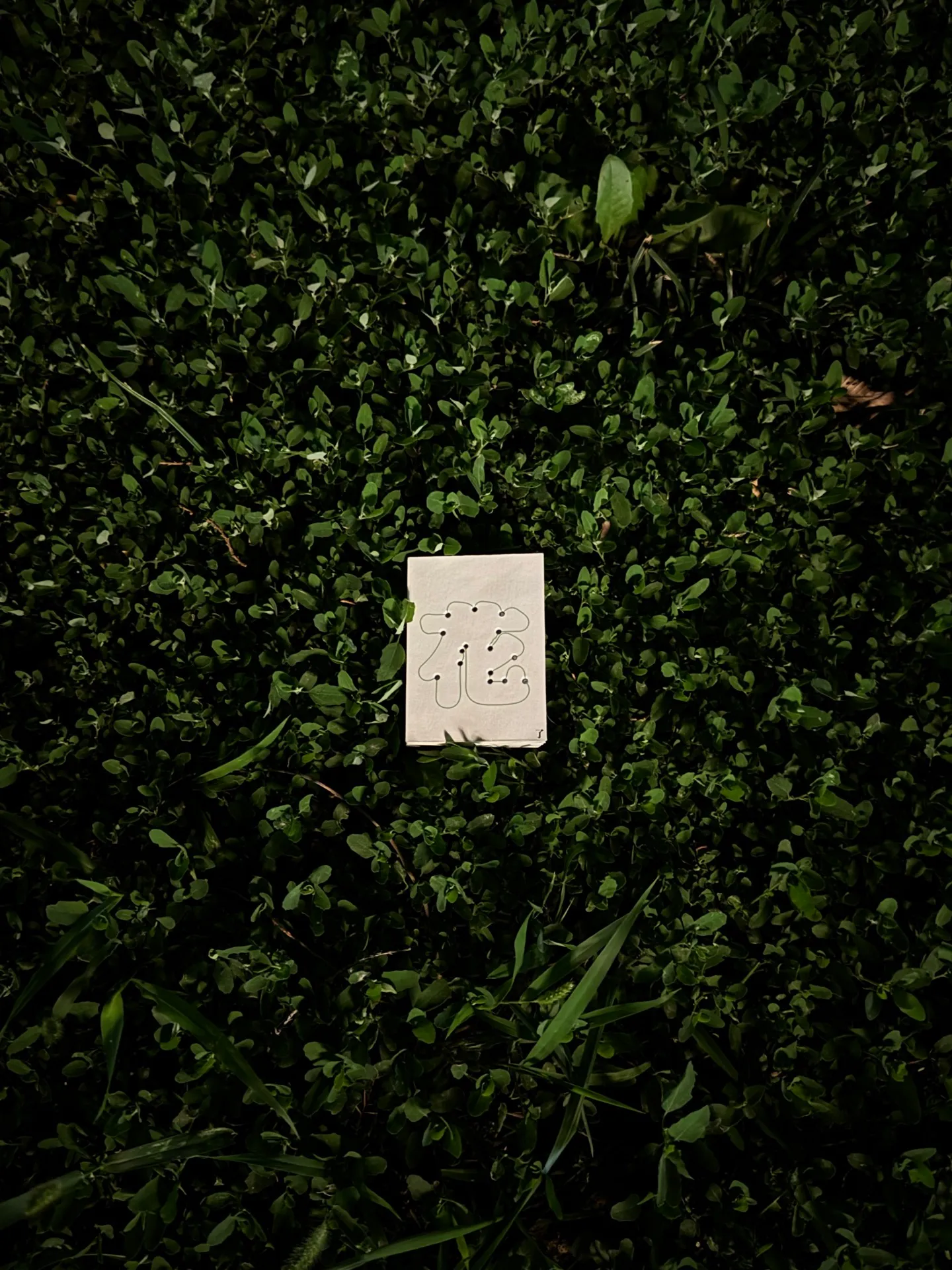 A Little Guide to "Smudged" in Chinese