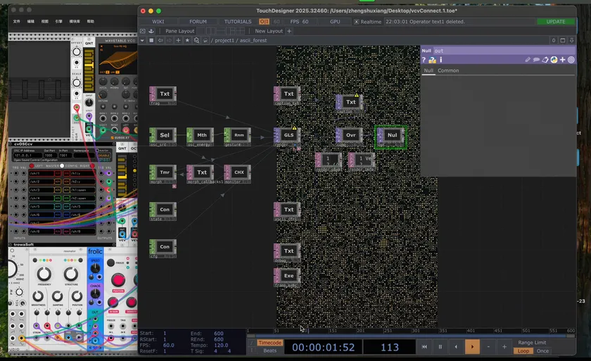 VCV Rack-Driven ASCII Forest
