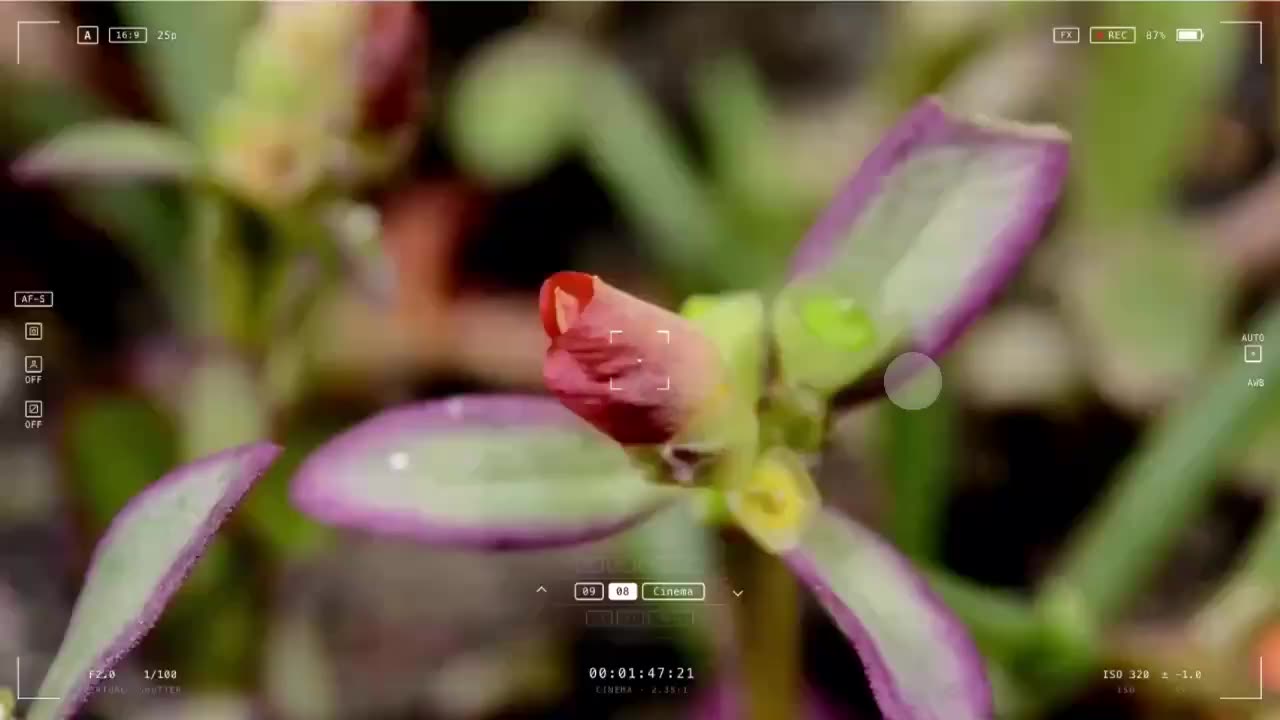 手机界面